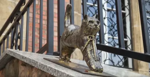 Widzieliście odlew kotka przed Muzeum Miejskim? Oto jego historia!